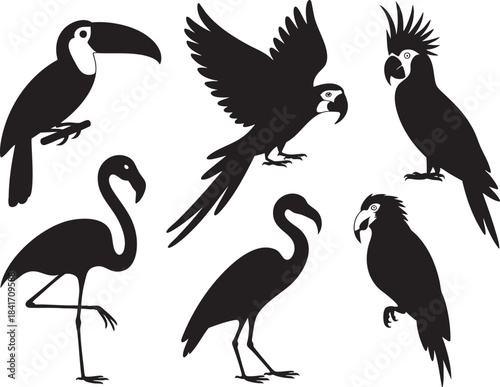 Black silhouettes of toucan flamingo cockatoo and parrots on white background bird