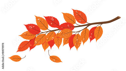 A branch with vibrant orange and red autumn leaves in a beautiful seasonal display