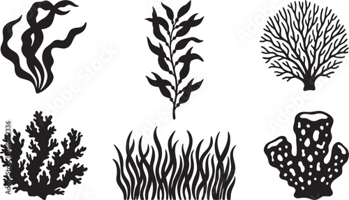 Collection of black silhouette illustrations of marine plants and corals seaweed kelp