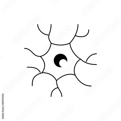 Minimalist Black Moon Phase Illustration Surrounded by Abstract Curves
