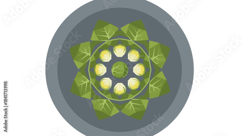 Fresh brussels sprouts arranged artfully on a plate, perfect for healthy eating campaigns and creative vegetarian recipes, showcasing vibrant green produce and a balanced diet