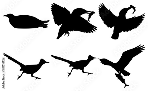 Collection of bird silhouettes engaged in hunting and fishing actions