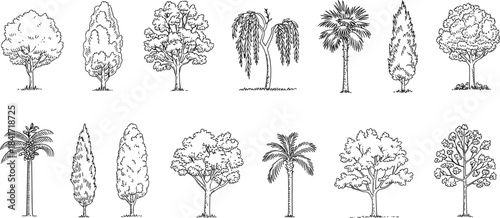 Hand drawn tree collection, black and white botanical illustrations, line art forest elements, diverse tree species sketches, nature doodle set, outline artwork