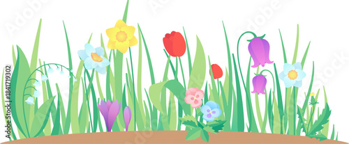 Spring garden with colorful blooming flowers and green grass