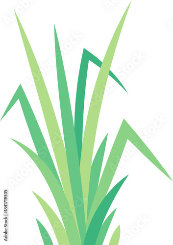 Green grass blades growing symbolizing nature and ecology