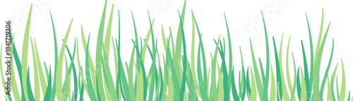 Green grass blades growing on white background