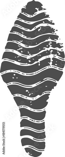 Abstract wavy lines representing a shoe print