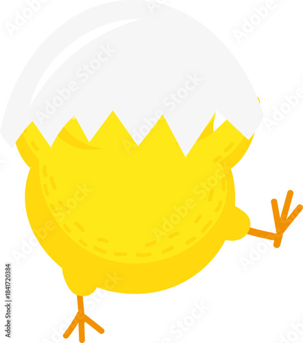 Newly hatched chick breaking free from eggshell