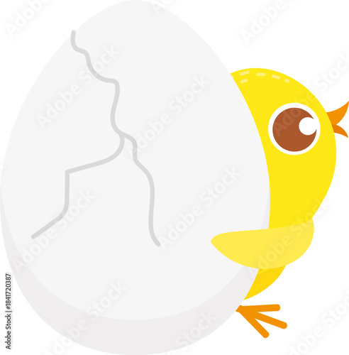 Yellow chick emerging from cracked eggshell