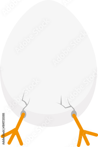 Chick feet emerging from cracking eggshell