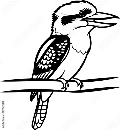kookaburra silhouette line art vector illustration with a white background
