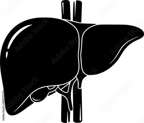 liver silhouette line art vector illustration with a white background
