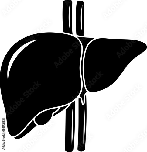 liver silhouette line art vector illustration with a white background
