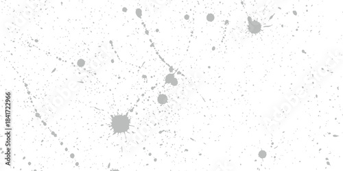 Gray paint grunge  splatter on white background