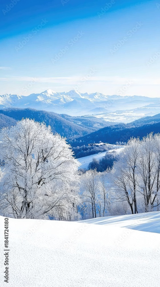 Obraz premium Winter landscape featuring snow-covered trees and distant mountains under a clear blue sky in a serene afternoon setting