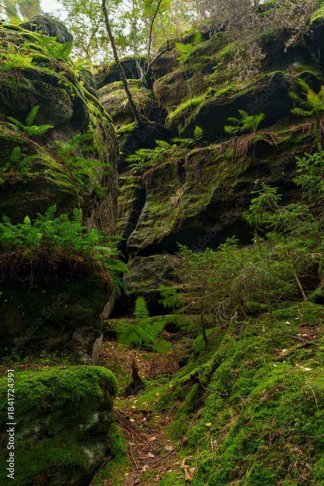 Fototapeta premium Felsgebilde Teichwächter bei dem Ort Leupoldishain, Stadt Königstein an der Elbe, Sächsische Schweiz, Landkreis Sächsische Schweiz-Osterzgebirge, Sachsen, Deutschland