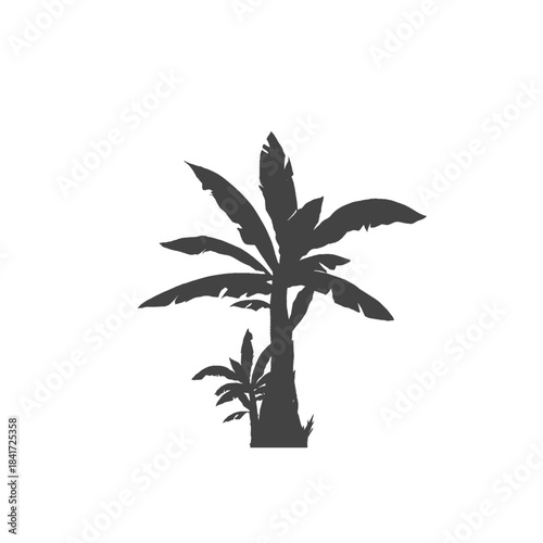 silhouette of a banana plant without background