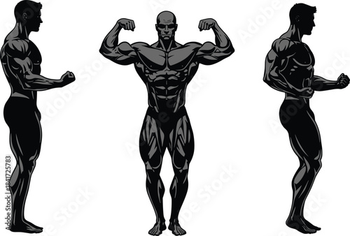 Bodybuilder muscular poses illustration, strong athlete flexing muscles, fitness physique artwork, bodybuilding silhouette design, strength training concept, male anatomy graphic
