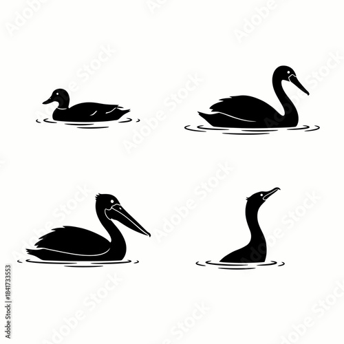 Collection of various water bird silhouettes swimming including duck swan pelican and cormorant