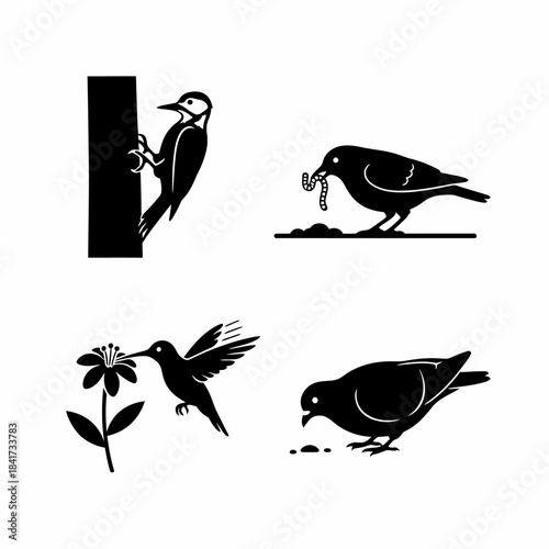 Minimalist black silhouettes of four different bird species: a woodpecker, a bird eating a worm, a hummingbird feeding from a flower, and a pigeon pecking at seeds.