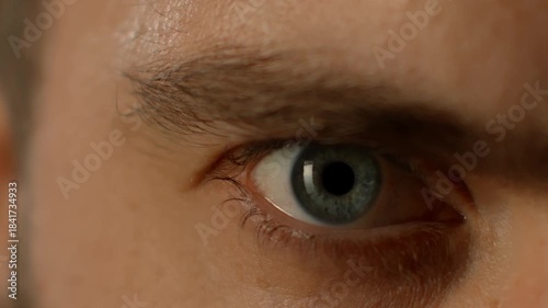 Close-up, the eye opens and looks at the camera