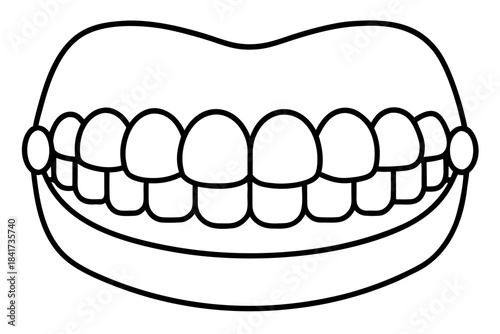 Isolated plastic dental dentures model for oral health care and hygiene on white background