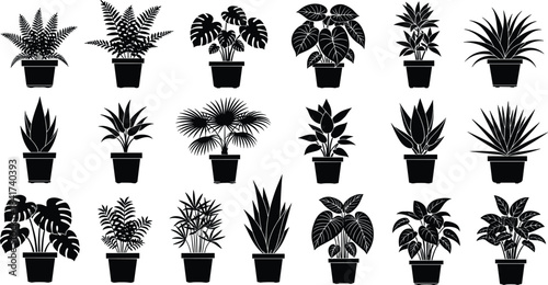 Minimalist Potted Houseplants Silhouette Collection, Indoor Garden Black Vector Graphic Set for Home, Office, and Tropical Decor, Isolated Design Elements.