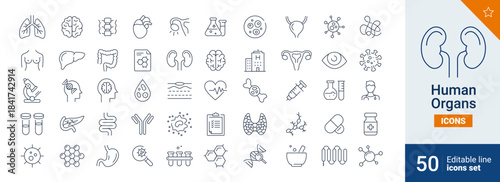 Human icons Pixel perfect. man, science, brain, ...	
