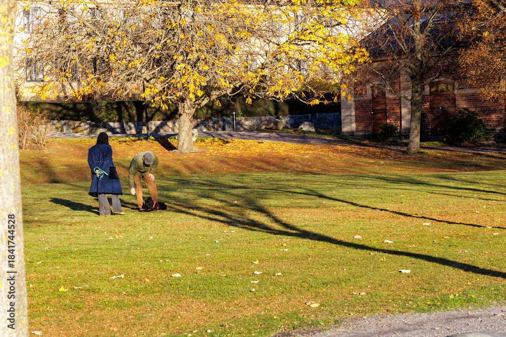 Fototapeta premium Couple Enjoying a Sunny Autumn Day in a Green City Park