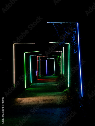 Coloured Woodland Path On A Christmas & Winter Light Trail In Oxfordshire