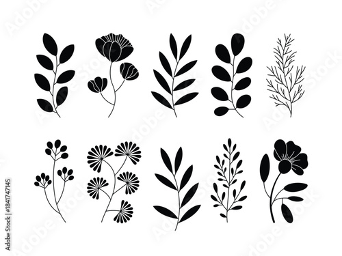 Botanical silhouette set features diverse collection of isolated decorative floral design elements and simple black twigs illustration collection