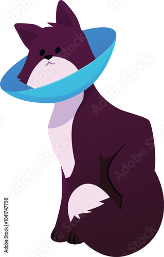 Cat in cone collar, vector dark color kitten wrapped in Elizabethan collar, protection from licking for pet, veterinary