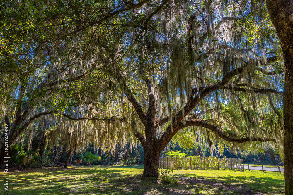 Naklejka premium Jekyll Island along the Atlantic Coast of Georgia, United States