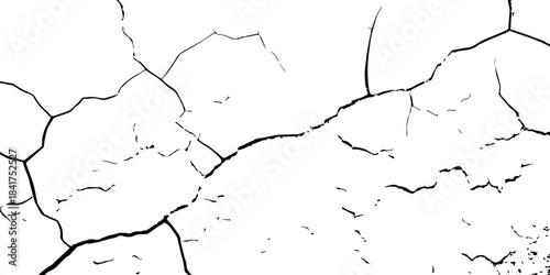 High-contrast cracked texture on a white background, featuring distressed lines and natural fracture patterns. Perfect for backgrounds, overlays, grunge design, and abstract artistic projects.
