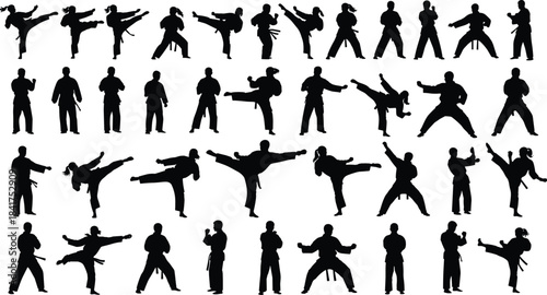 Dynamic martial arts silhouettes set depicting diverse fighting poses, karate, taekwondo, and self-defense movements for training, fitness, and active lifestyle illustration.
