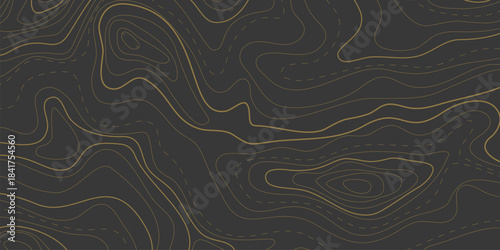 Map of topographic relief lines, illustration of relief contour Topographic landscape surface Concept of conditional geography scheme terrain path Editable stroke Abstract ocean relief dark background