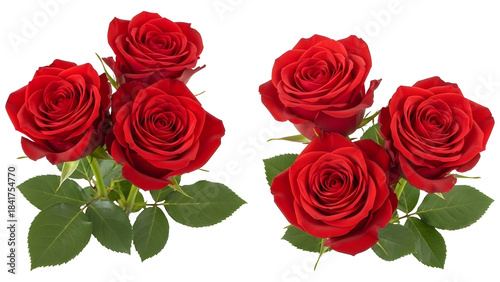 Bundle of vibrant red roses fresh cut flowers for romantic occasions perfect for Valentines Day and weddings on a transparent background PNG