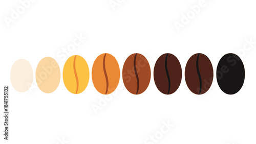 Different stages of coffee roasting process from green bean to dark roast shown in color palette