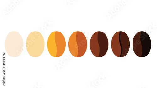 Visual progression of coffee bean roast levels from light to dark process