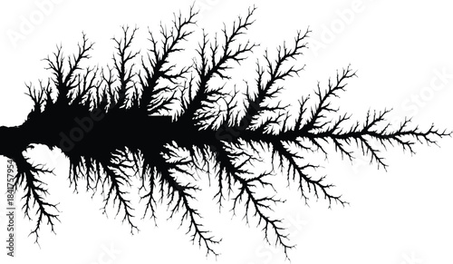 Black silhouette of bare tree branch or roots isolated on transparent background nature element