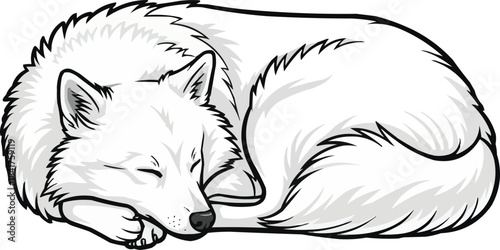 Japanese Spitz dog curled up sleeping relaxed illustration