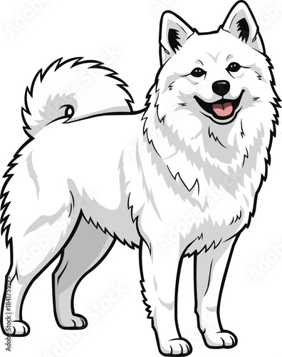 Japanese Spitz dog standing happy smiling cute illustration