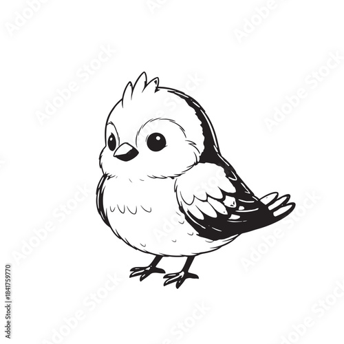 Adorable cartoon chick illustration with simple line art on white background.