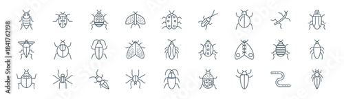 linear insects icon pack. vector thin line icons collection such as earthworm, insect, bug, insect, insect, cockroach, cockroach, pest