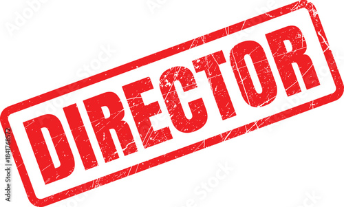 A bold red grunge effect rubber stamp clearly displaying the word DIRECTOR on a pure white canvas