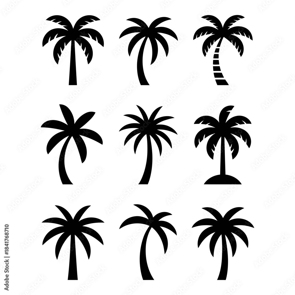 Fototapeta premium set of palm trees