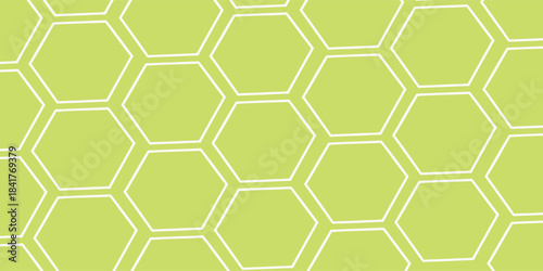 Geometric Hexagonal Pattern Background with Light Green and White Lines texture