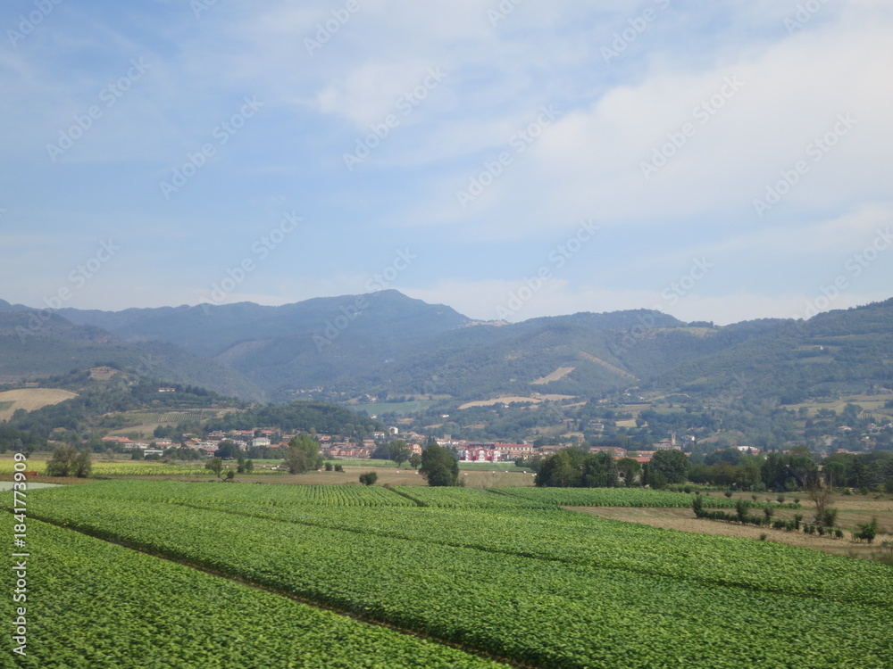 Fototapeta premium Agrarian countryside in Europe with pastoral farmrand in the foreground and mountains in the background