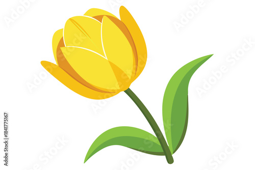 A cheerful yellow tulip flower showcases vibrant color and simplistic floral beauty elegantly