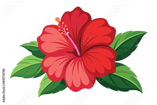 Bright red hibiscus flower showcases its beauty among vibrant green leaves today